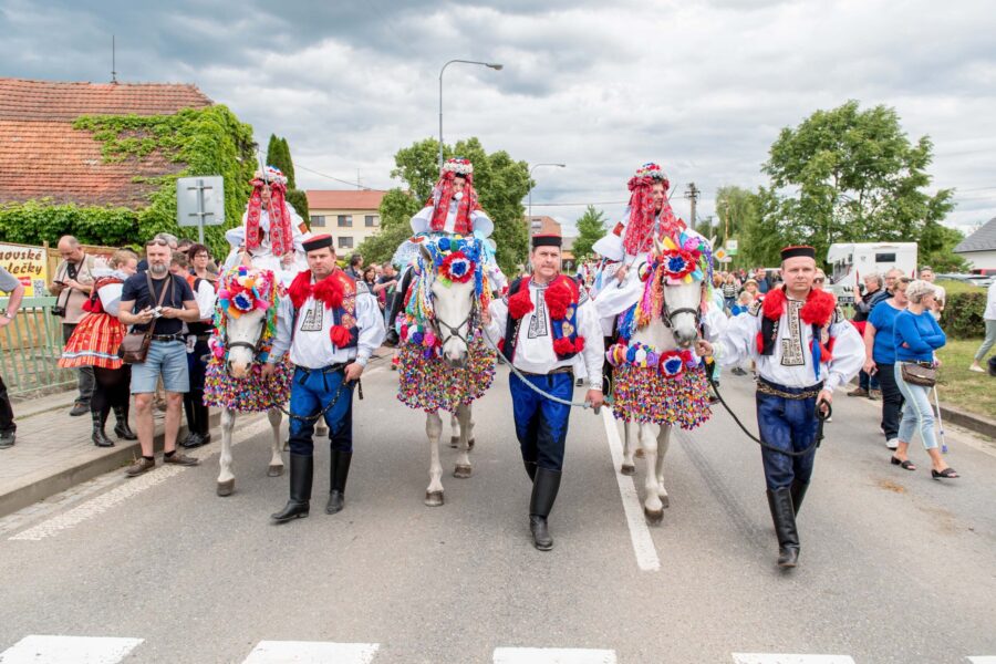 Jízda králů Vlčnov