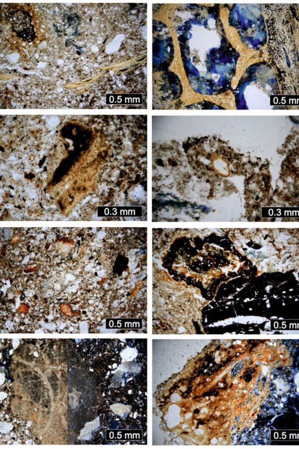 Pravěk Uherskohradišťska ve světle přírodovědných analýz
