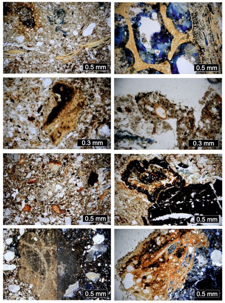 Pravěk Uherskohradišťska ve světle přírodovědných analýz