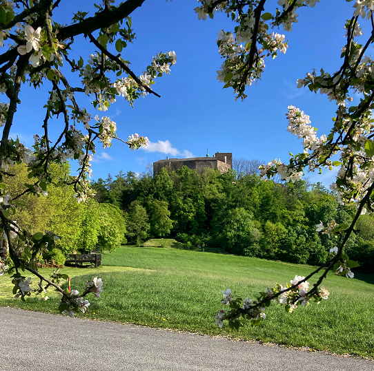 Velikonoce na&nbsp;Hotelu Buchlov FOTO