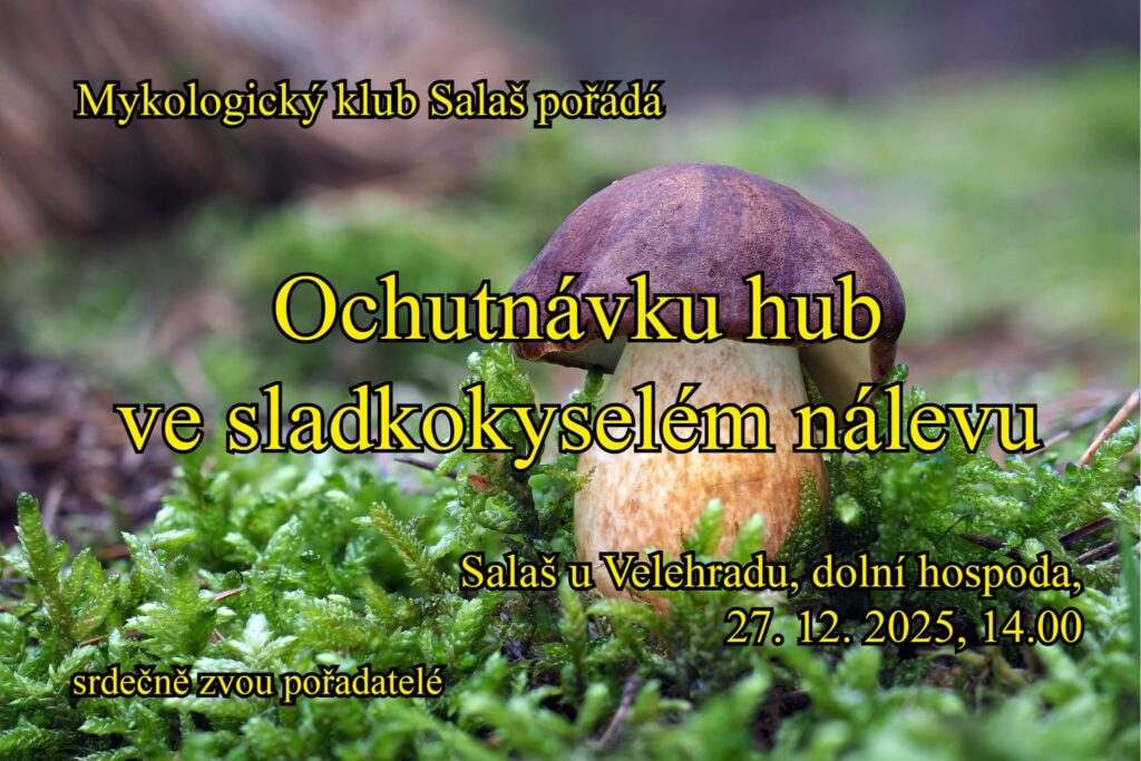 Ochutnávka hub ve&nbsp;sladkokyselém nálevu