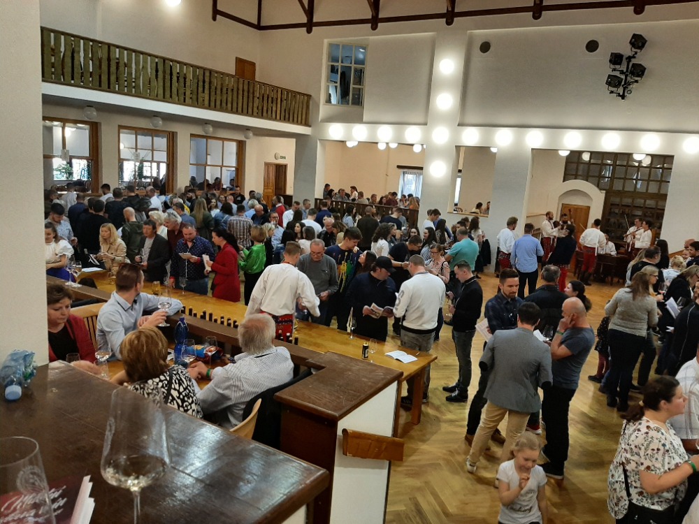 Bojanovská výstava vín