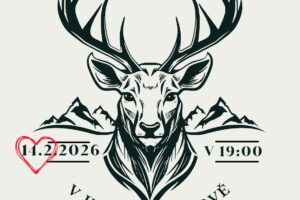 616597529_853825527525371_6596590500187739928_n