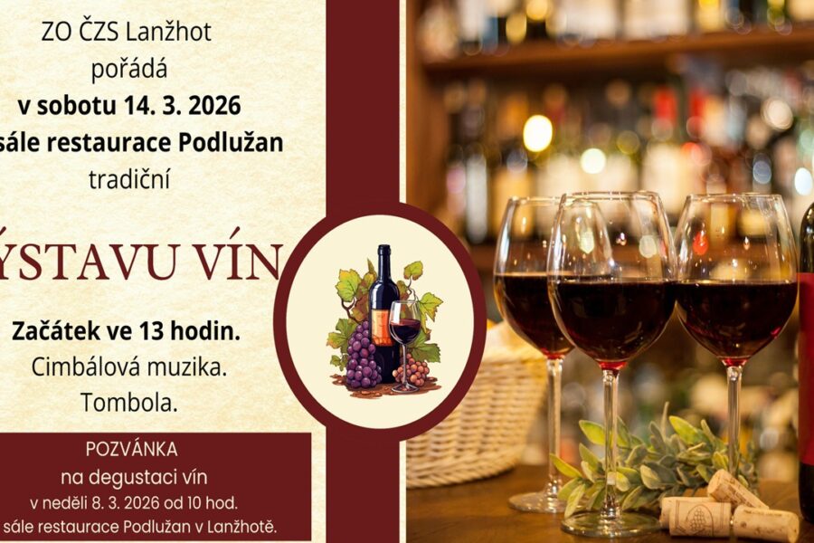 Místní výstava vín
