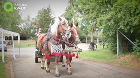 Za vínem na&nbsp;Podluží – Otevřené sklepy Kostice, Tvrdonice FOTO