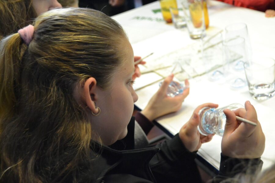 Den otevřených dveří Sklárna Květná 1794 Strání FOTO