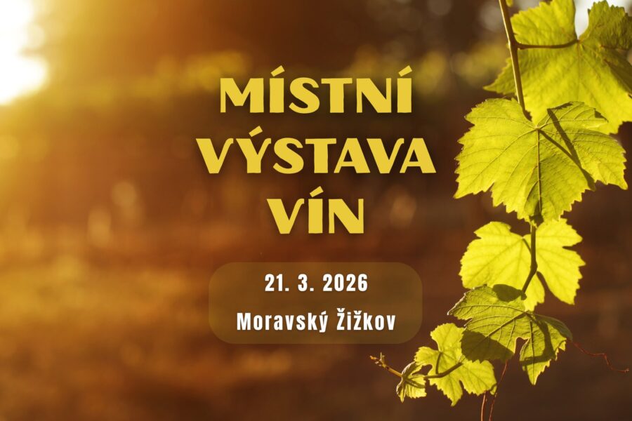 Výstava vín Moravský Žižkov