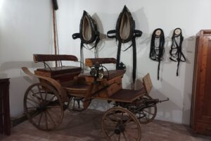 IMG_20250603_123702