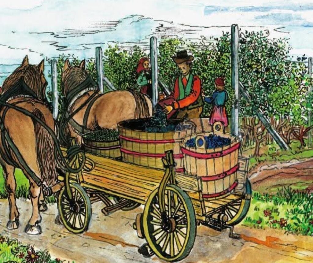 Velikonoční košt vín Milotice