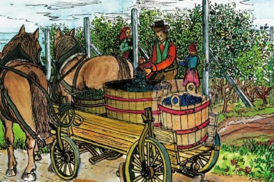 Velikonoční košt vín Milotice