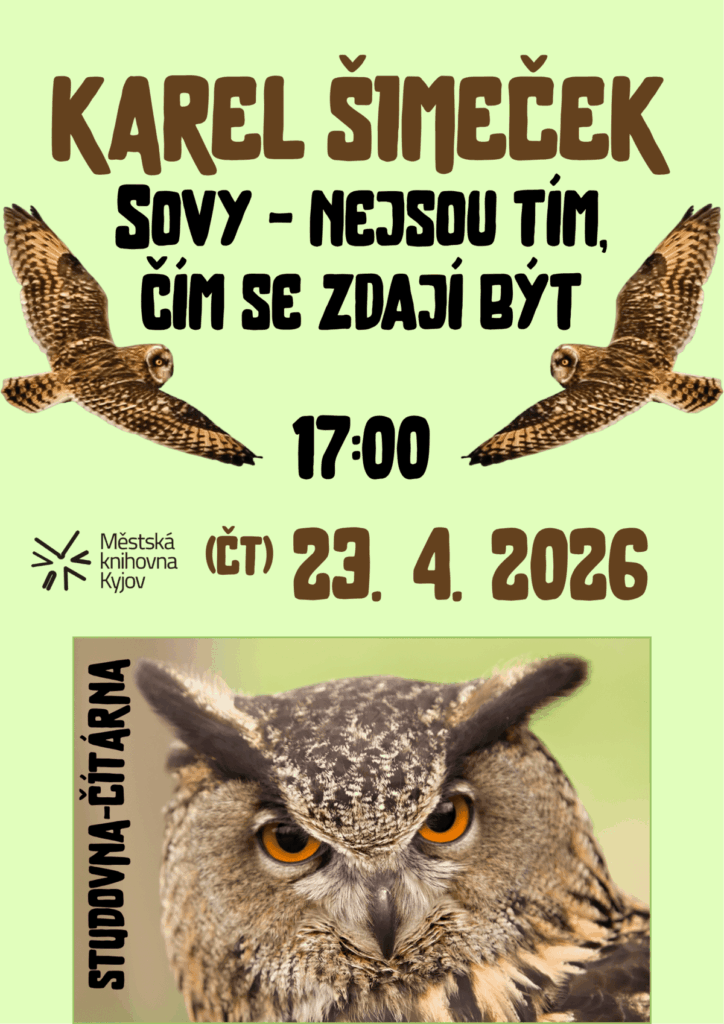 Sovy – nejsou tím, čím se&nbsp;zdají být