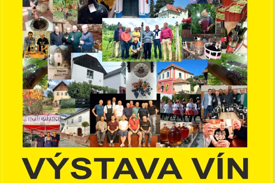 46. Výstava vín Vinaři Mařatice FOTO
