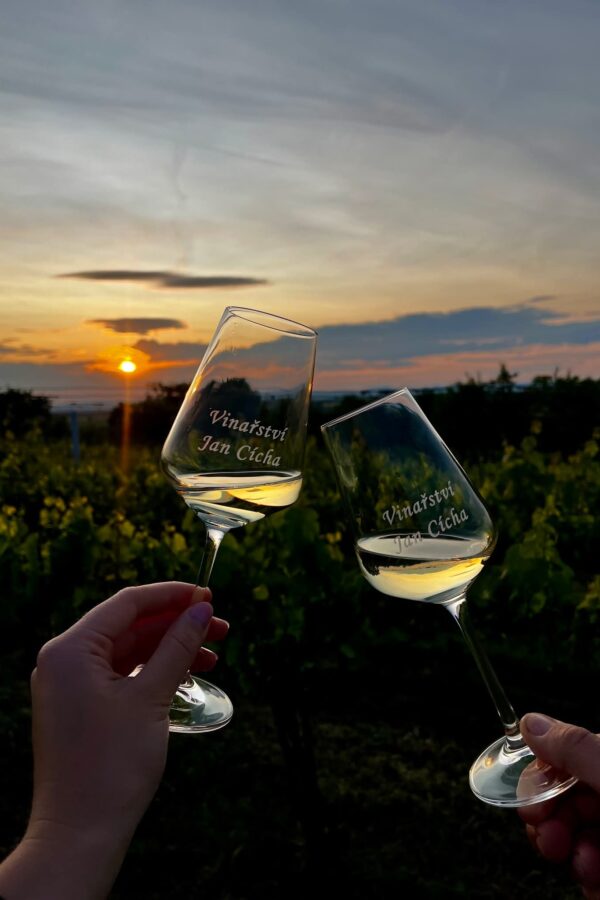 Grilování u&nbsp;pohárku