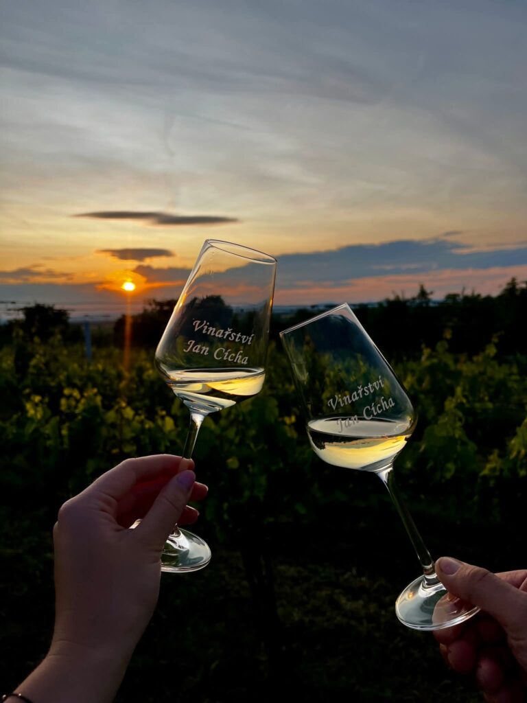 Grilování u&nbsp;pohárku