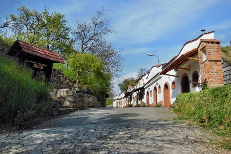 XXI. Kudlovický vinný žleb FOTO