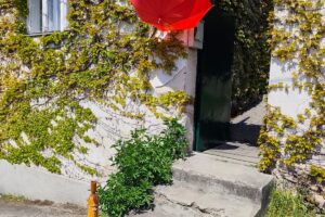 Vinařské stezky Uherskohradišťska jsou symbolicky otevřeny FOTO