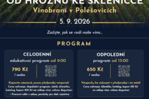 Od hroznu ke skleničce