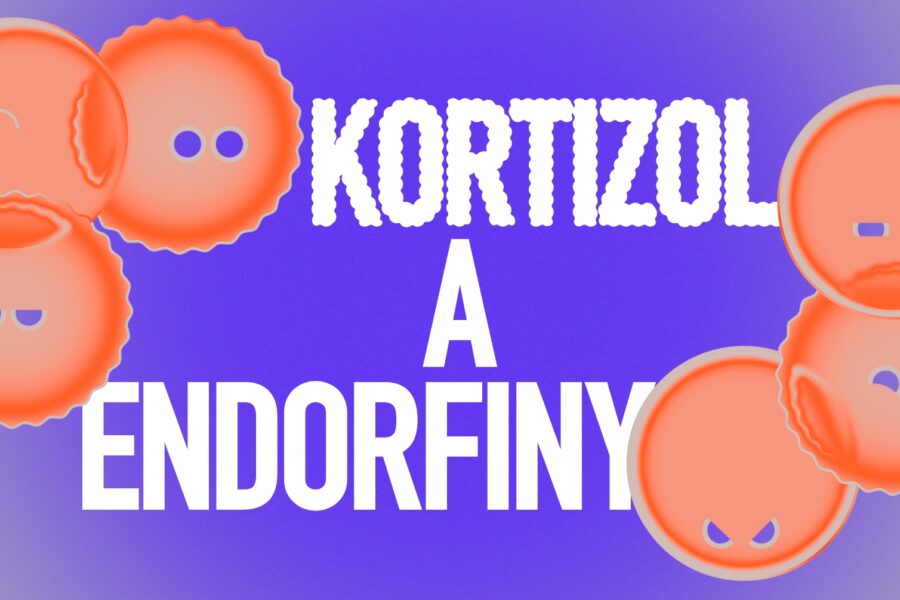 Vernisáž výstav v&nbsp;zahradě galerie