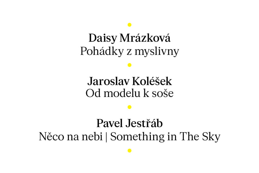 Vernisáž výstav v&nbsp;zahradě galerie FOTO