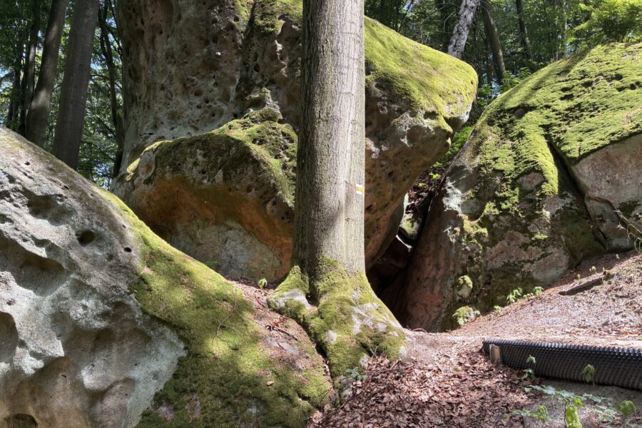 Na kole kolem skalních útvarů a&nbsp;studánek chřibských lesů FOTO