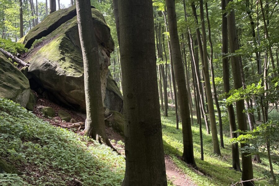 Na kole kolem skalních útvarů a&nbsp;studánek chřibských lesů FOTO