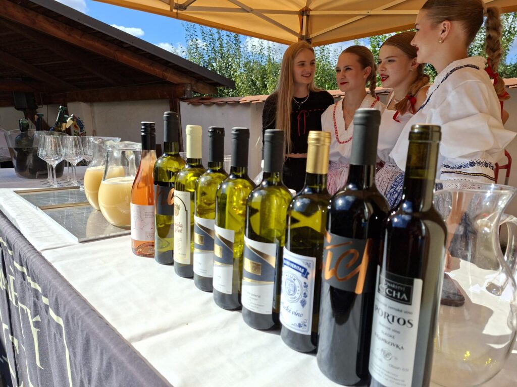 3. ROČNÍK HLUCKÉHO VINOBRANÍ