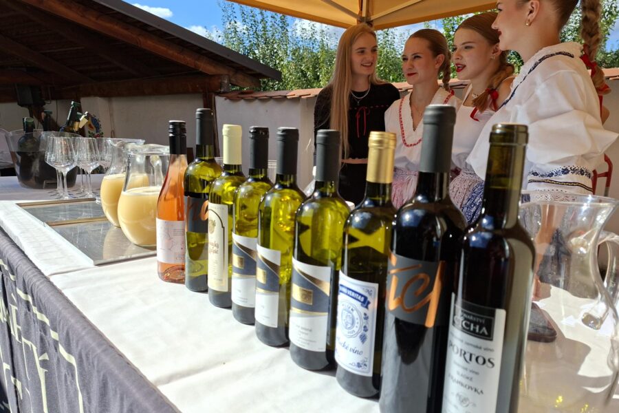 3. ROČNÍK HLUCKÉHO VINOBRANÍ