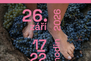 3.-HLUCKE-VINOBRANI-I-002