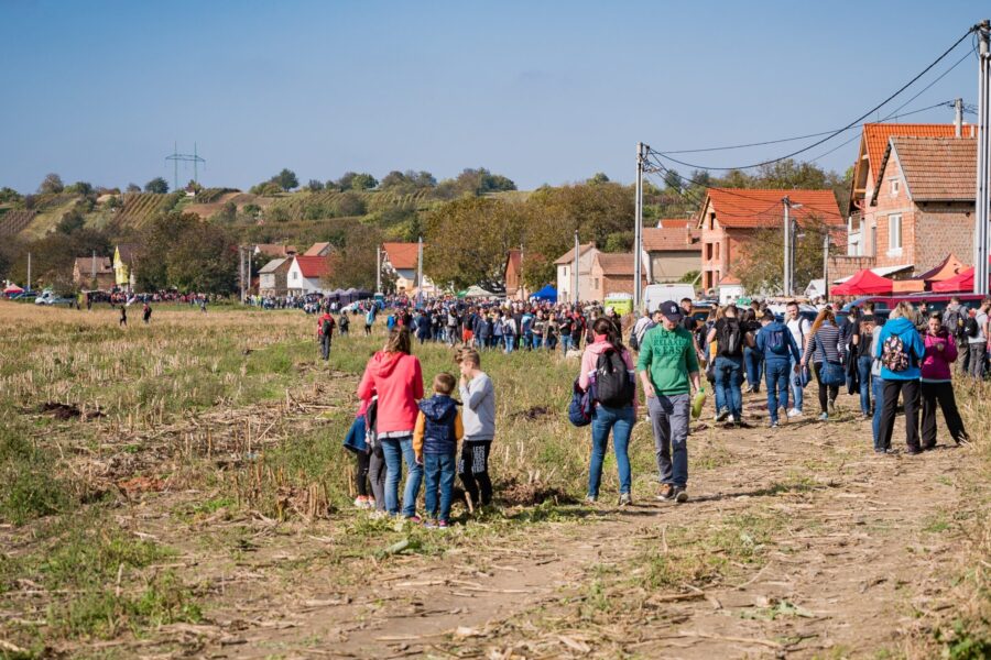 Putování slováckým vinohradem v&nbsp;Mutěnicích