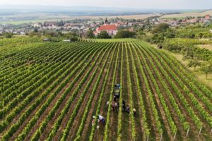 Slovácko má…večery, které chutnají vínem FOTO