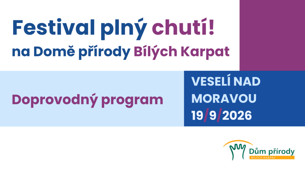 Festival plný chutí – doprovodný program
