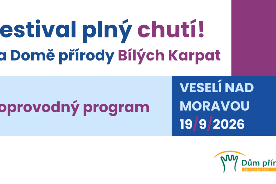 Festival plný chutí – doprovodný program