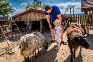 AAB_Mlyn-66-890-kB