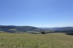 IMG_1801