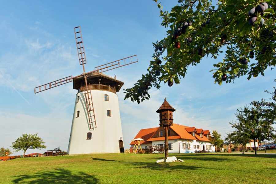 Tradiční košt vín FOTO