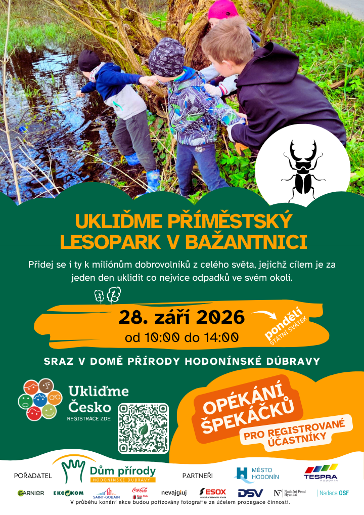Ukliďme příměstský lesopark v&nbsp;hodonínské Bažantnici